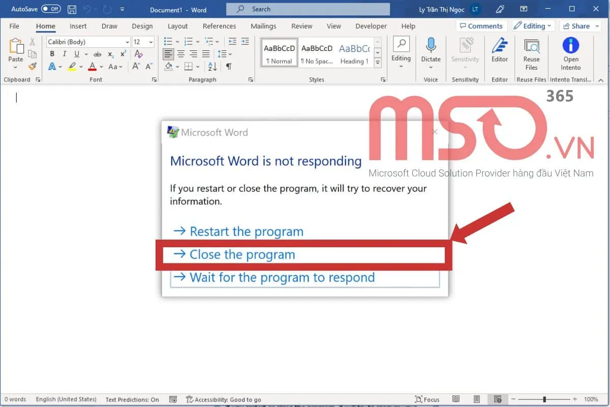 word bị crash liên tục - Hình 3