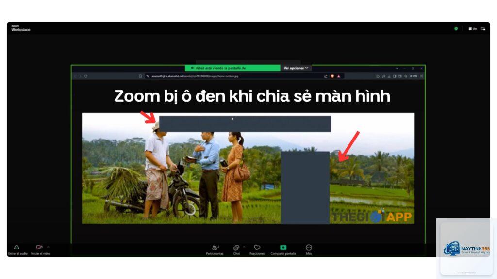 zoom không chia sẻ màn hình được