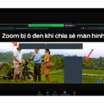 zoom không chia sẻ màn hình được