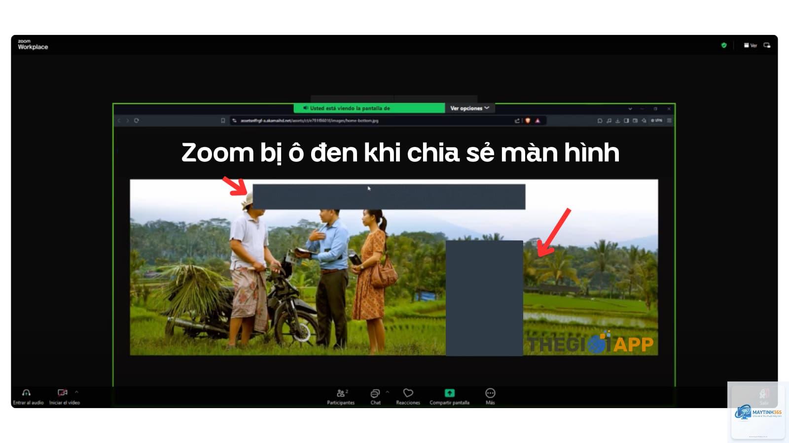 zoom không chia sẻ màn hình được - Hình 1