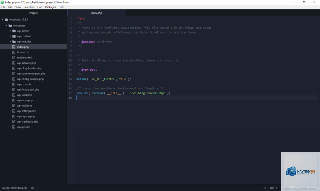 Atom Editor