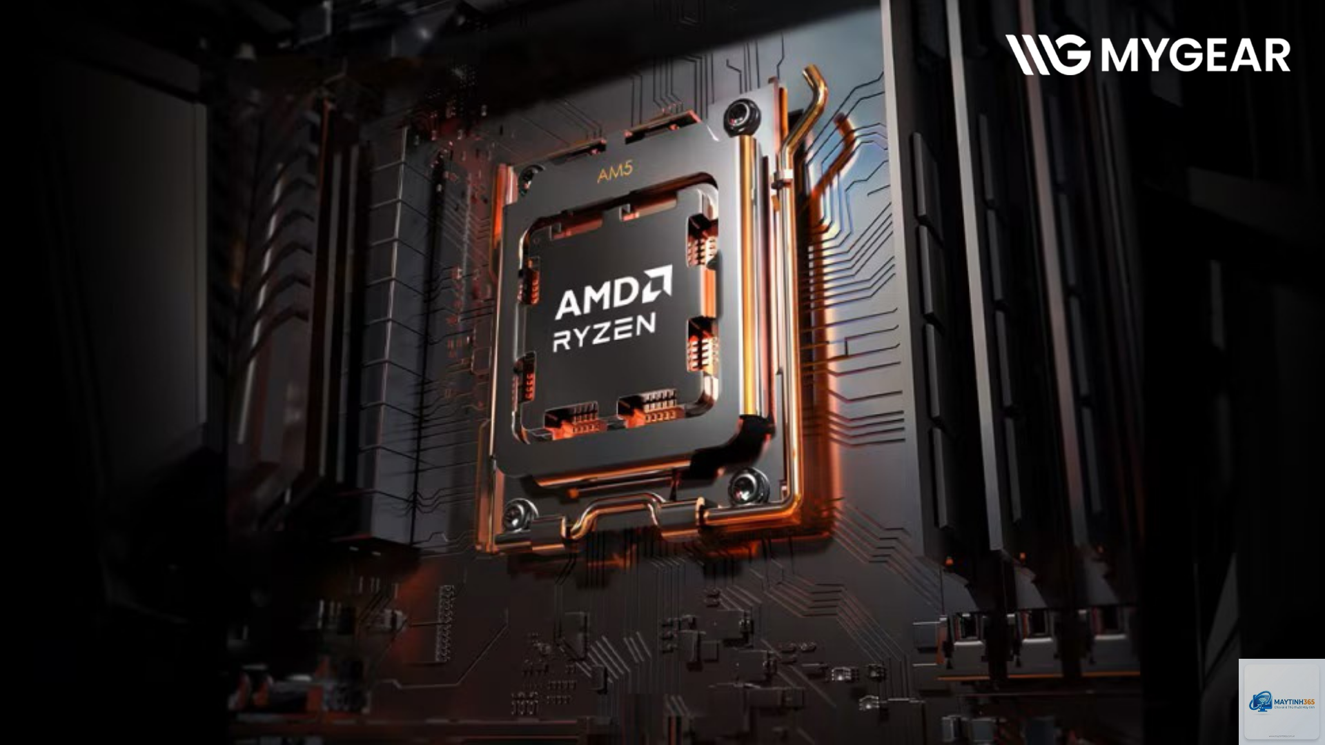 CPU AMD cho Visual Studio - Hình 4