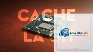 CPU cache lớn có quan trọng không