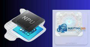 CPU có NPU hay không