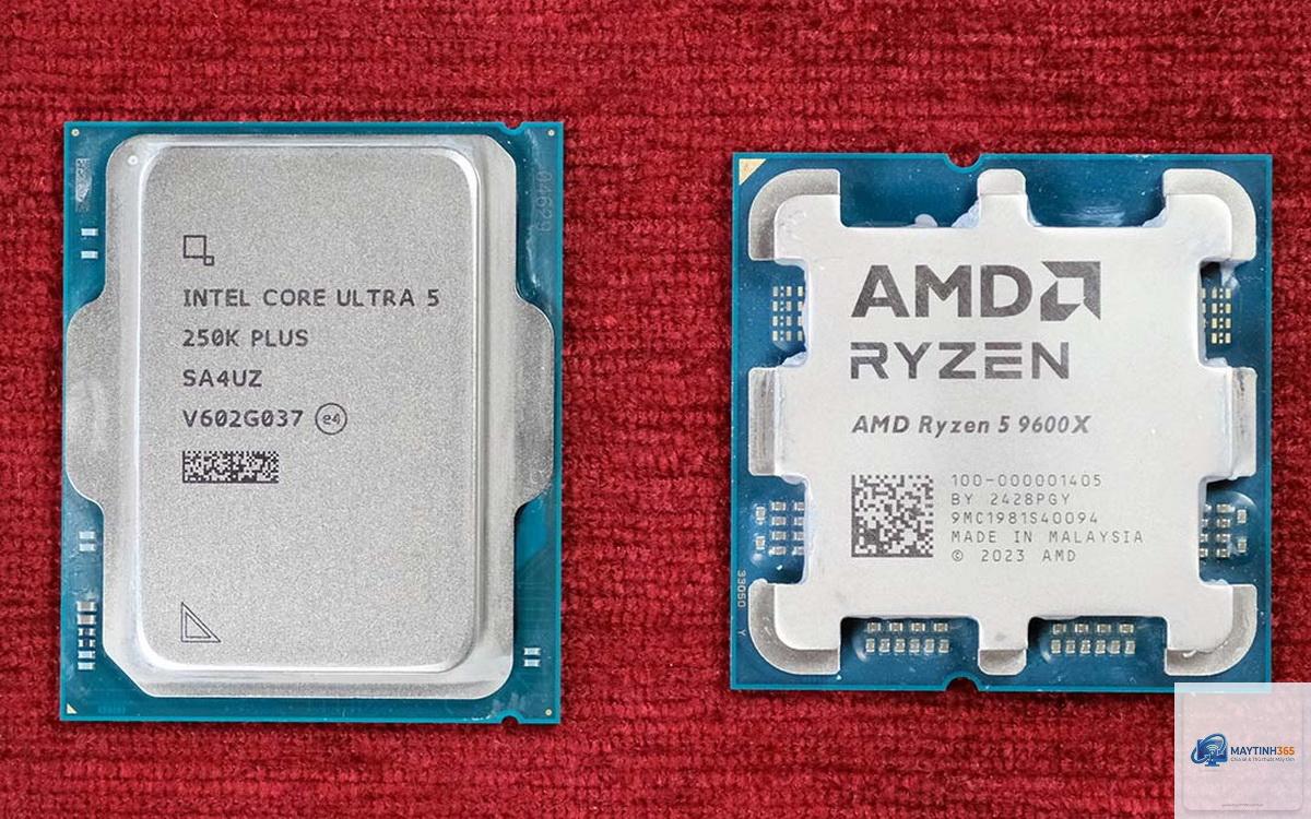 Core Ultra 5 vs Ryzen 5 9600X - Hình 4