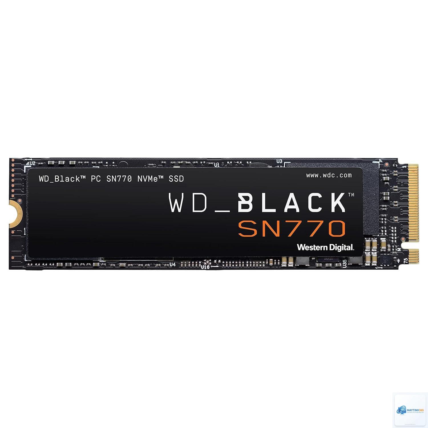Crucial P3 Plus vs WD SN770 - Hình 3