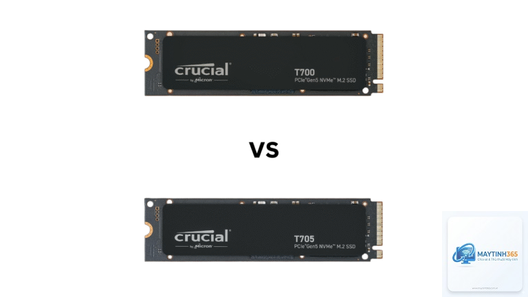 Crucial P3 Plus vs WD SN770 - Hình 4