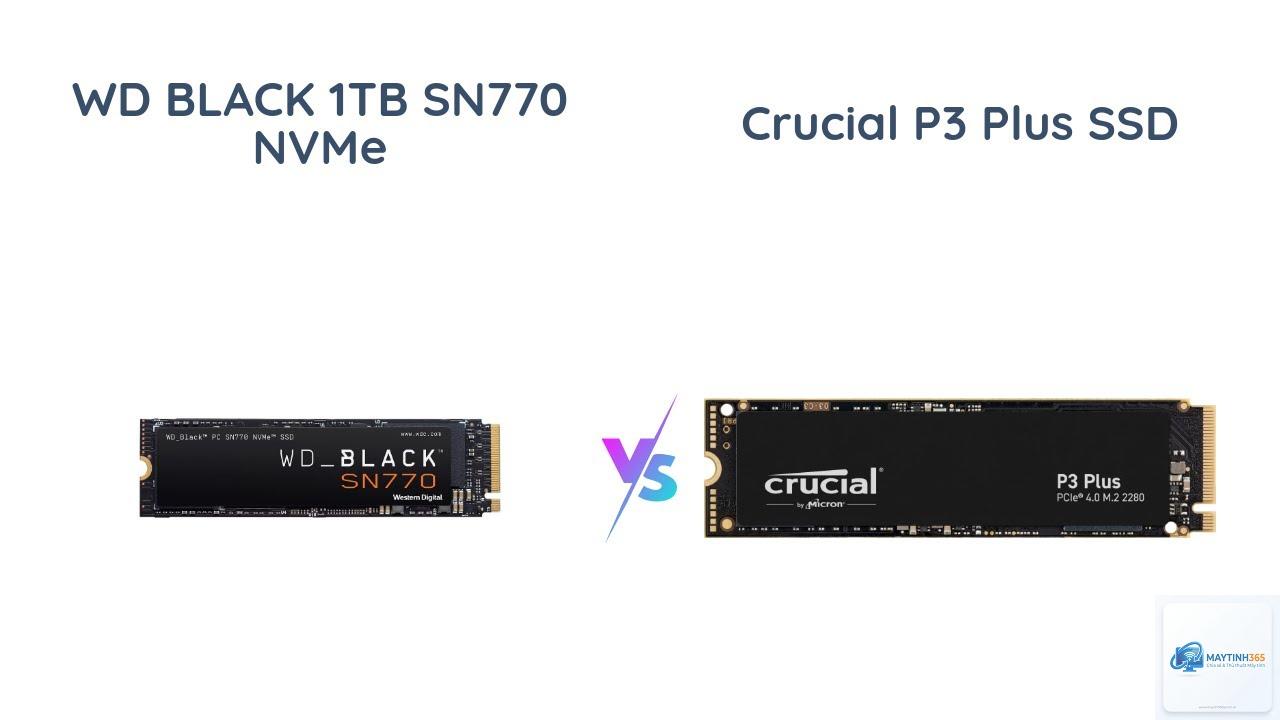 Crucial P3 Plus vs WD SN770 - Hình 1