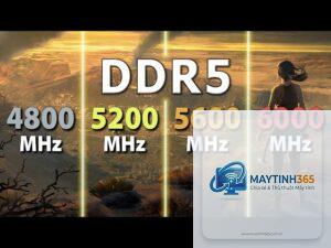 DDR5 5200 vs DDR5 5600