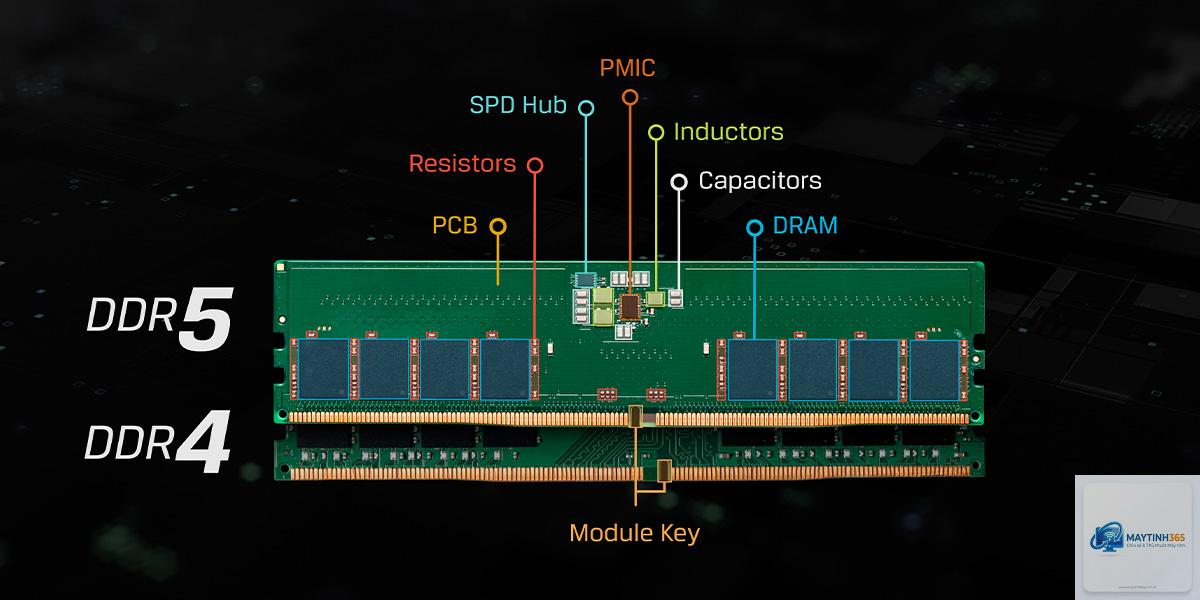 DDR5 có bắt buộc không - Hình 3