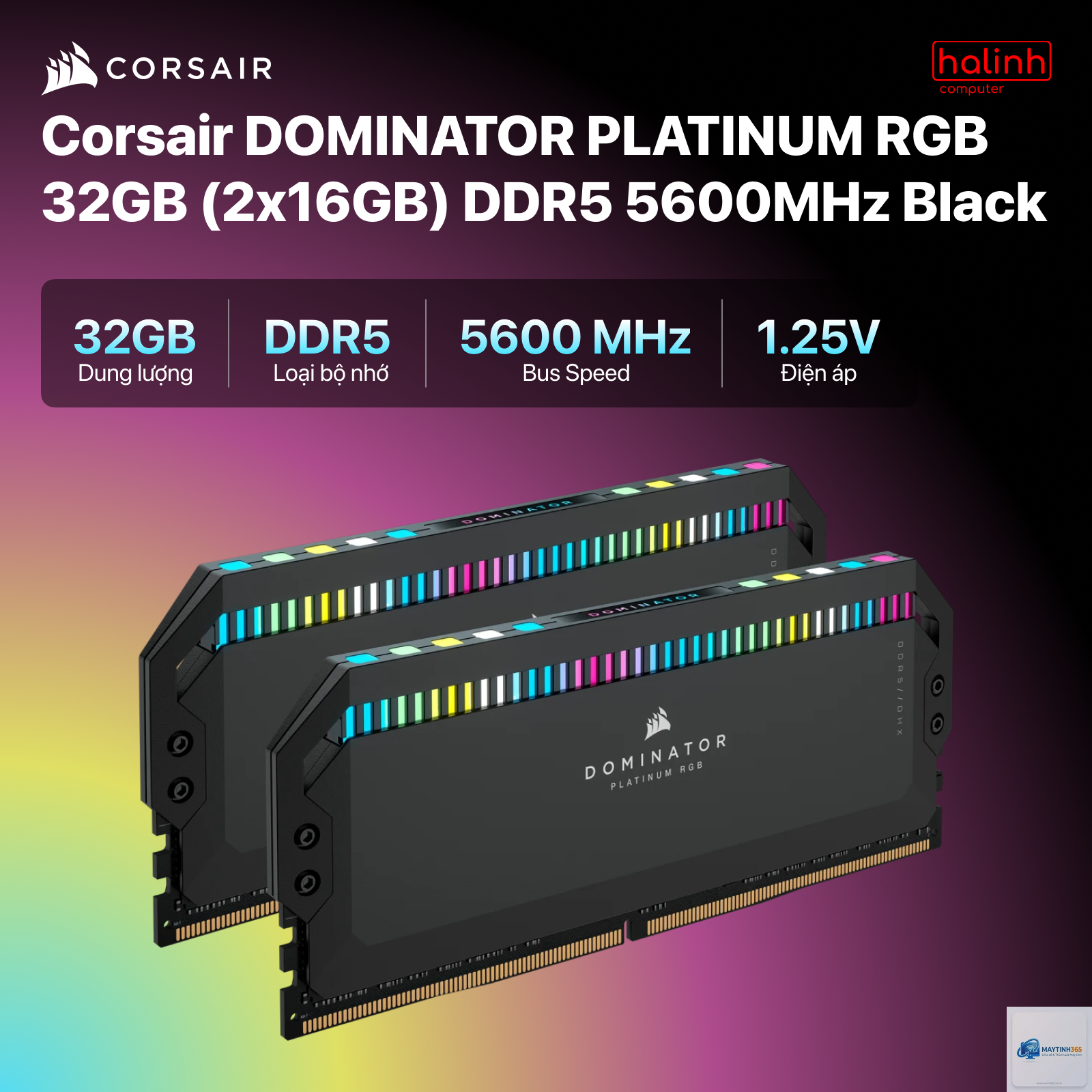 DDR5 có đáng nâng cấp không - Hình 4