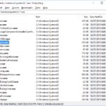 Everything Search: Công Cụ Tìm Kiếm File Tức Thì Trên Windows Ai Cũng Cần Everything Search
