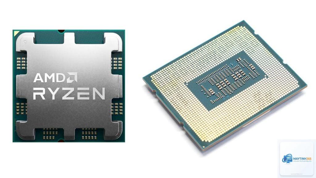 Intel Xeon vs AMD Ryzen - Hình 5