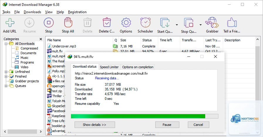 Internet Download Manager - Hình 2