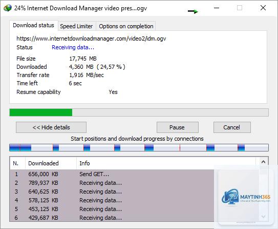 Internet Download Manager - Hình 3