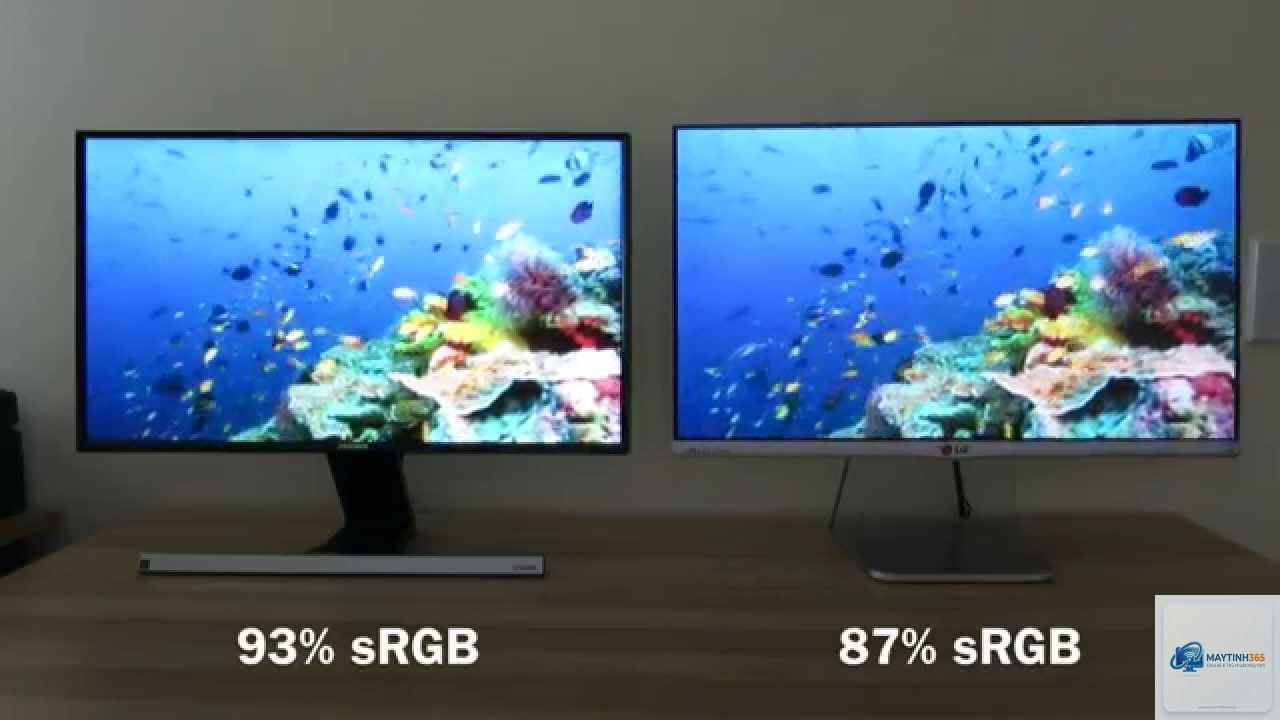 LG vs Samsung Monitor - Hình 5