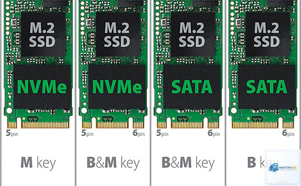 M.2 SATA vs M.2 NVMe - Hình 2