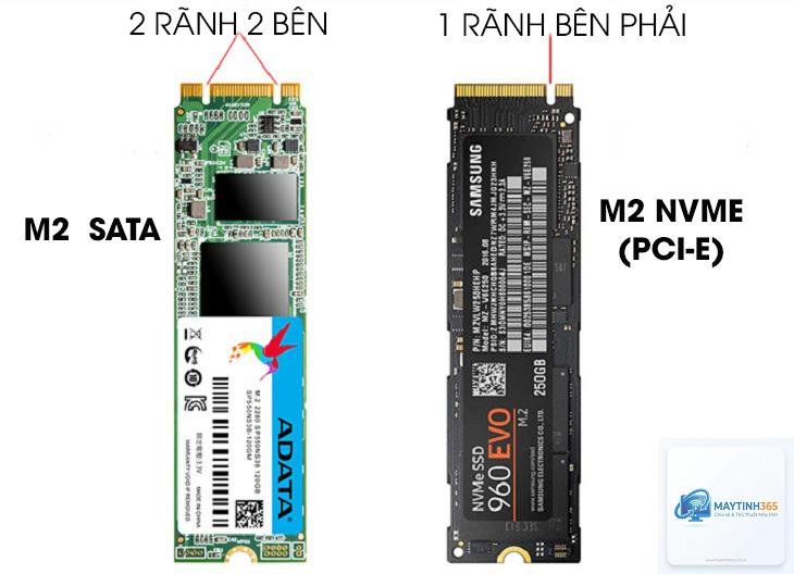 M.2 SATA vs M.2 NVMe - Hình 3
