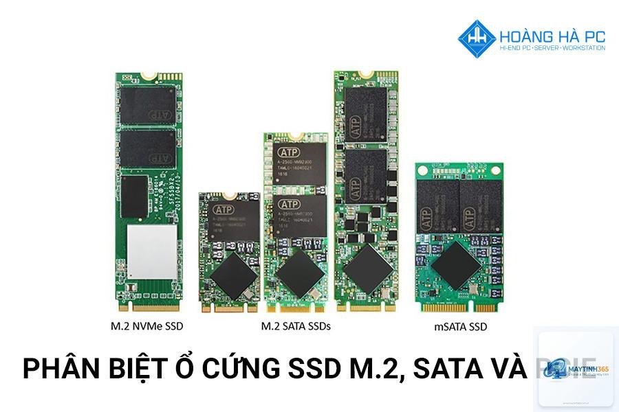 M.2 SATA vs M.2 NVMe - Hình 4