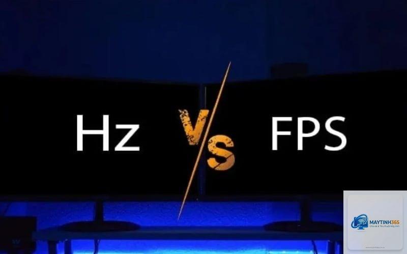 Màn hình 100Hz vs 144Hz - Hình 1
