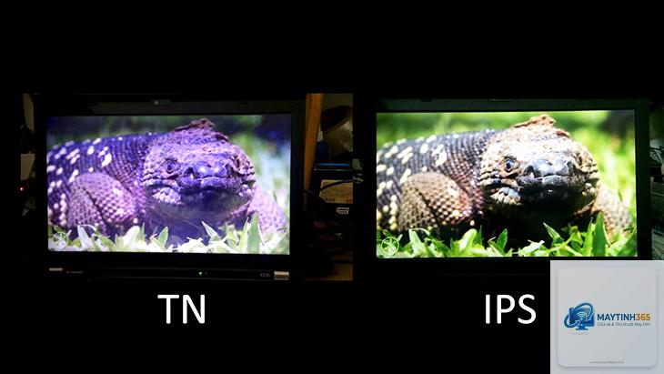 Màn hình IPS vs VA - Hình 3