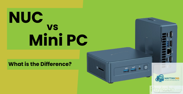 NUC vs Mini PC AMD - Hình 1