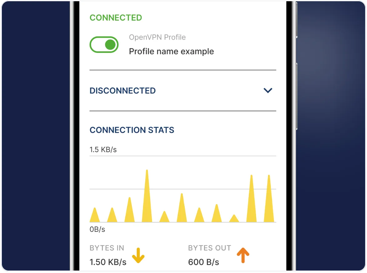 OpenVPN Connect - Hình 2