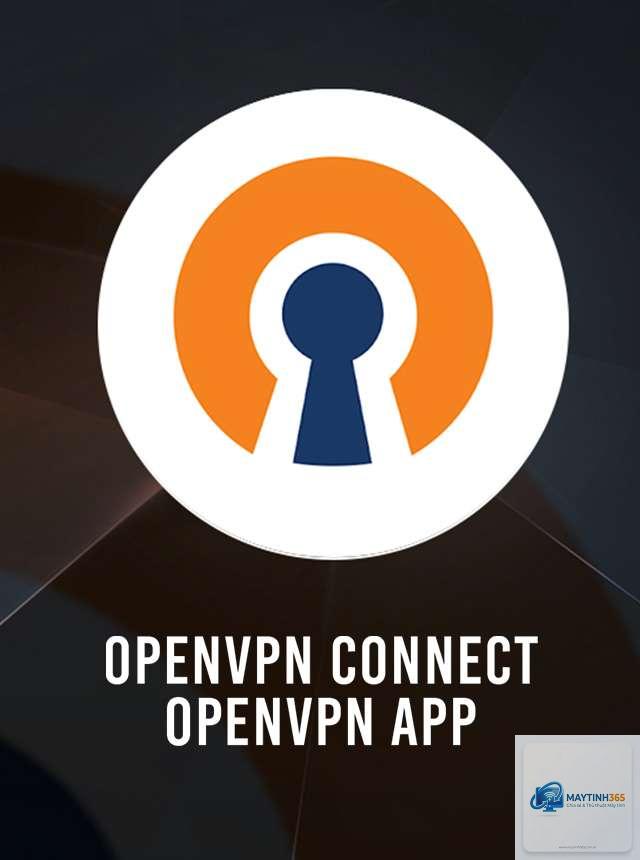 OpenVPN Connect - Hình 5