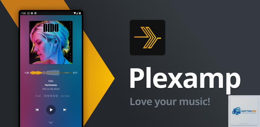 Plexamp - Hình 5