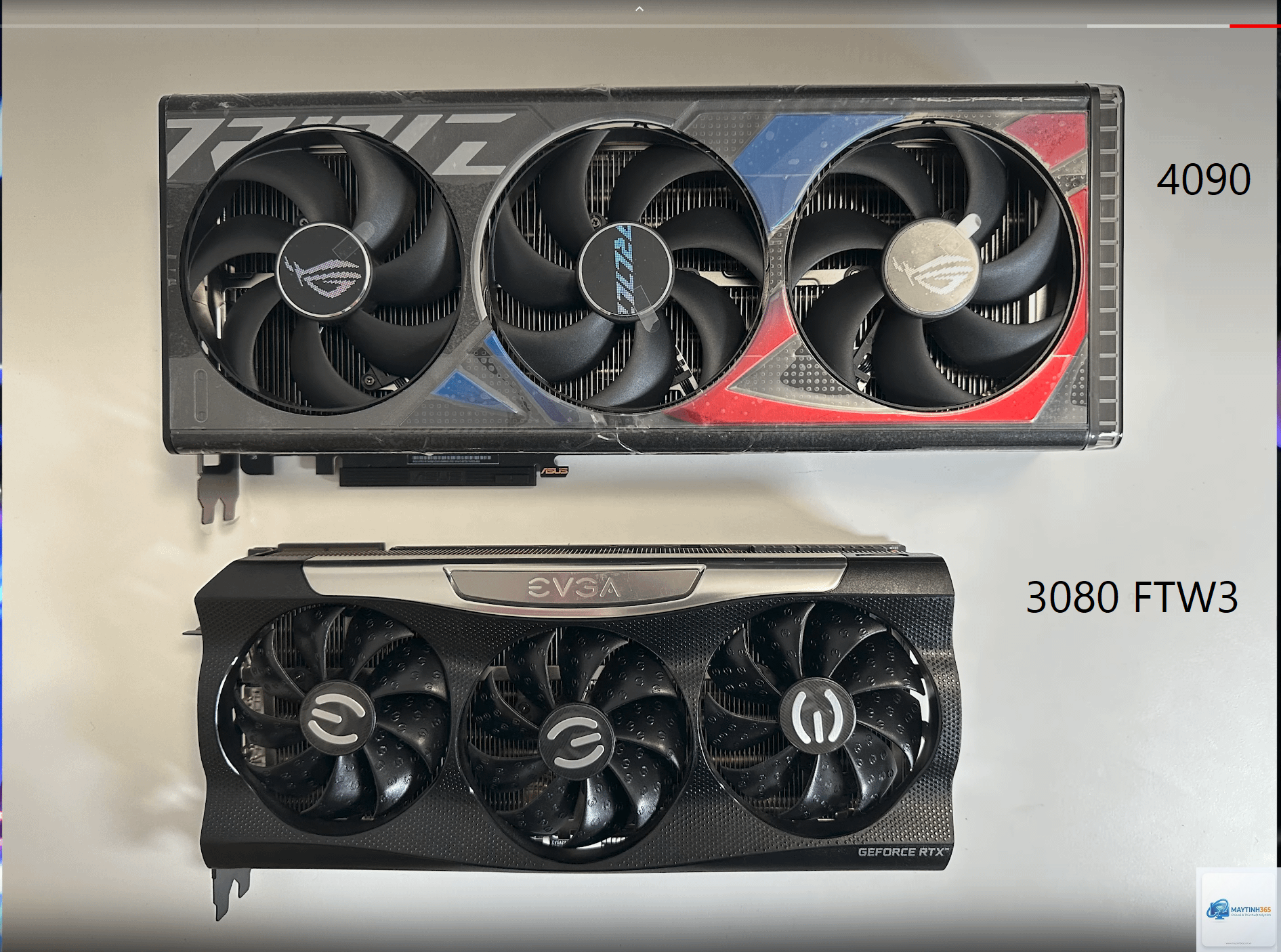 RTX EVGA vs ASUS - Hình 2