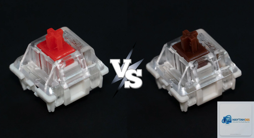Red Switch vs Brown Switch - Hình 3