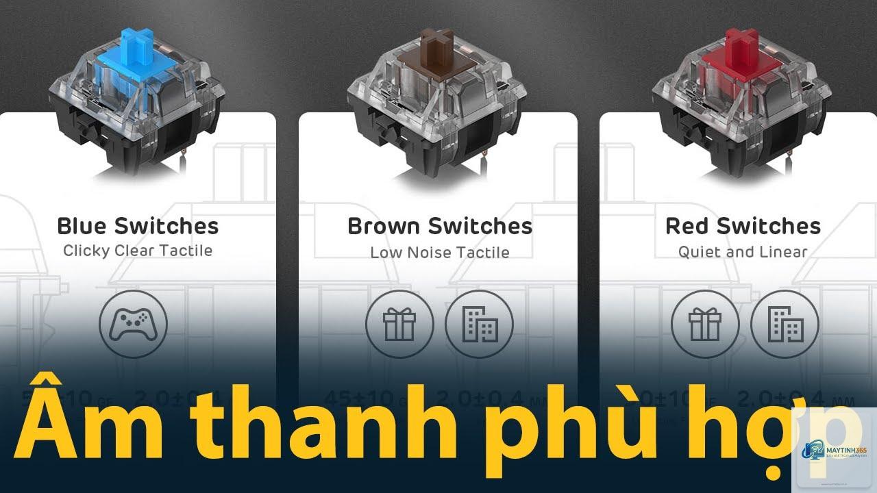 Red Switch vs Brown Switch - Hình 4