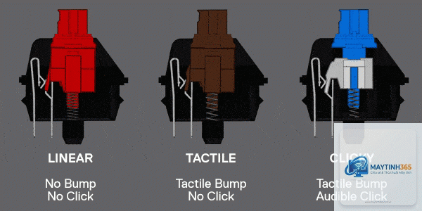 Red Switch vs Brown Switch