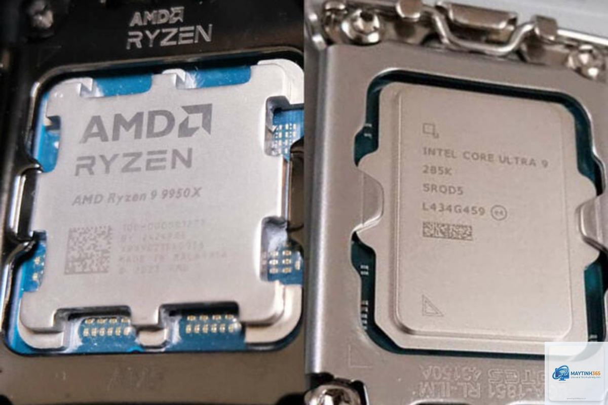 Ryzen 9 9950X vs Core Ultra 9 - Hình 2