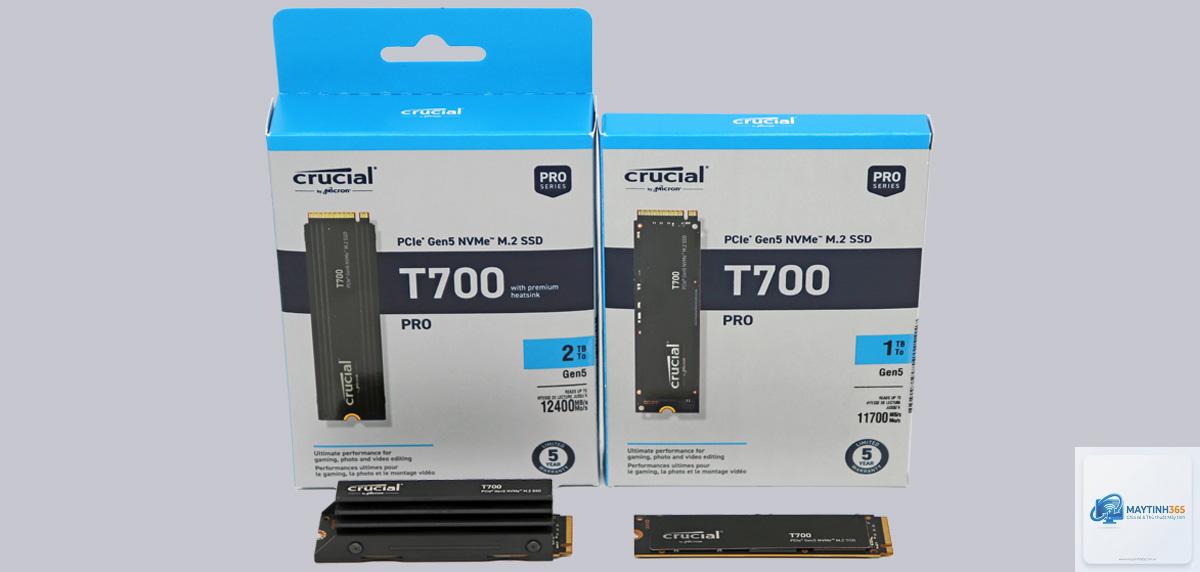 SSD 1TB vs SSD 2TB - Hình 5
