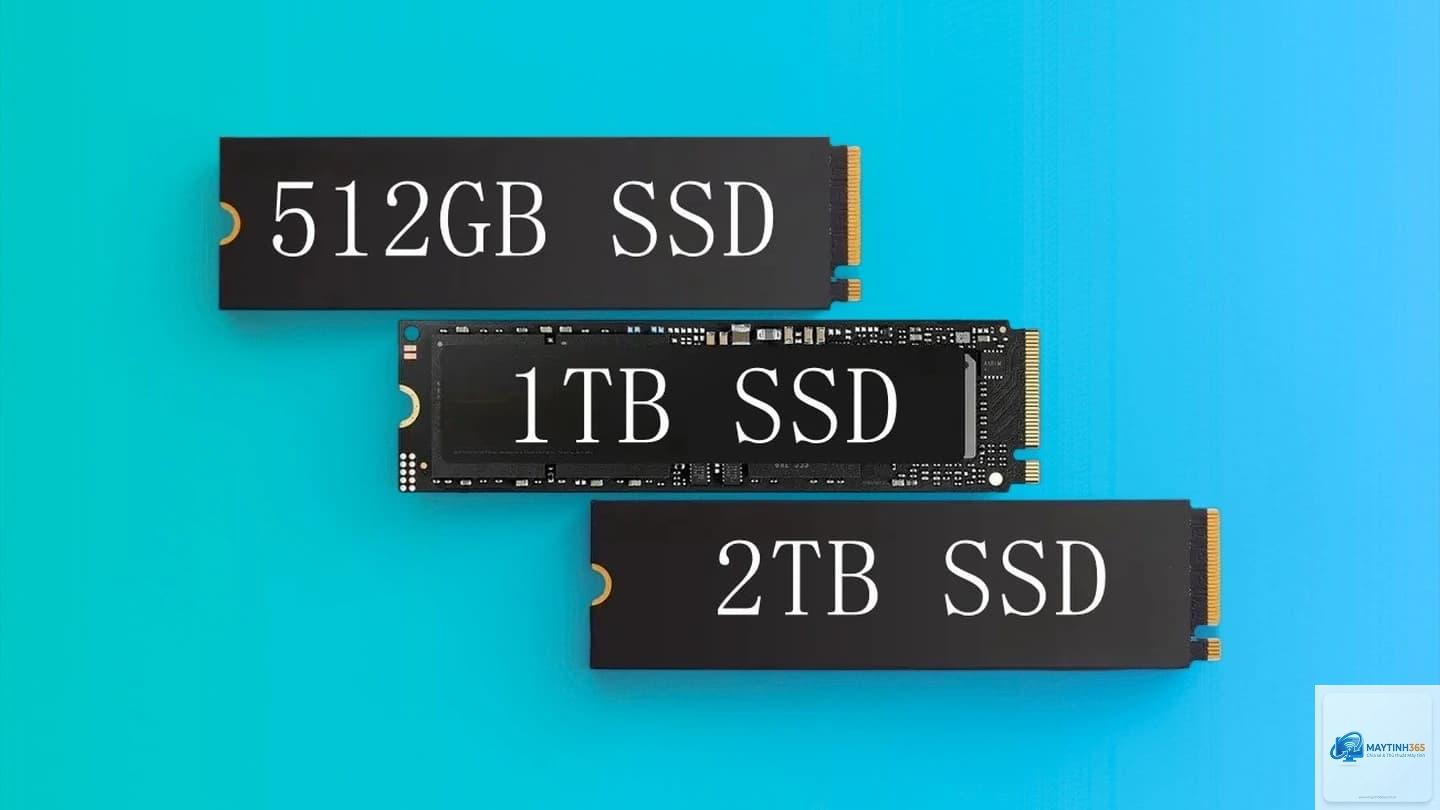 SSD 1TB vs SSD 2TB - Hình 1