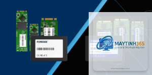 SSD 512GB vs SSD 1TB