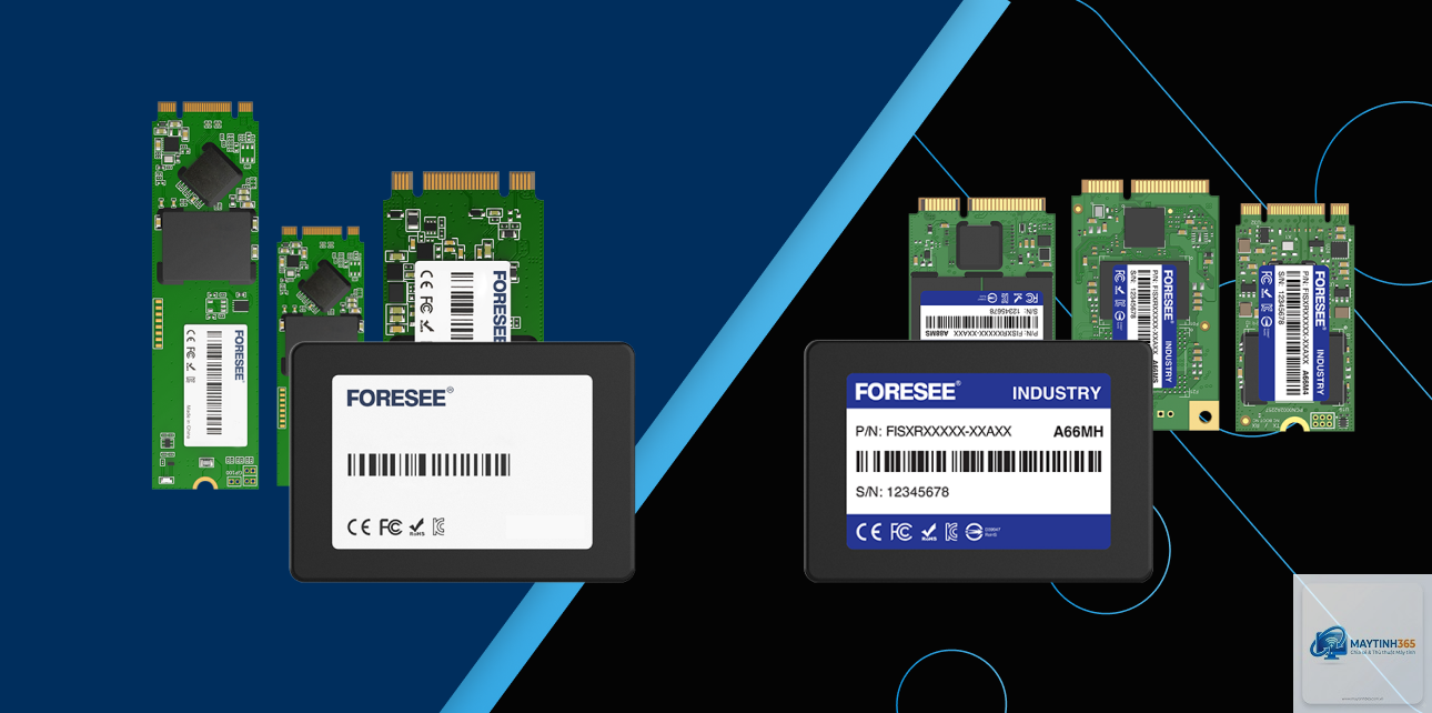 SSD 512GB vs SSD 1TB - Hình 1