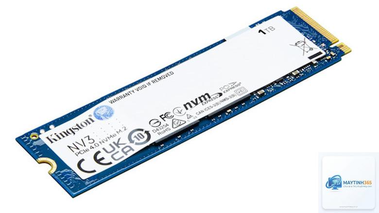SSD Crucial hay Kingston - Hình 2