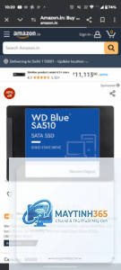 SSD Crucial vs WD