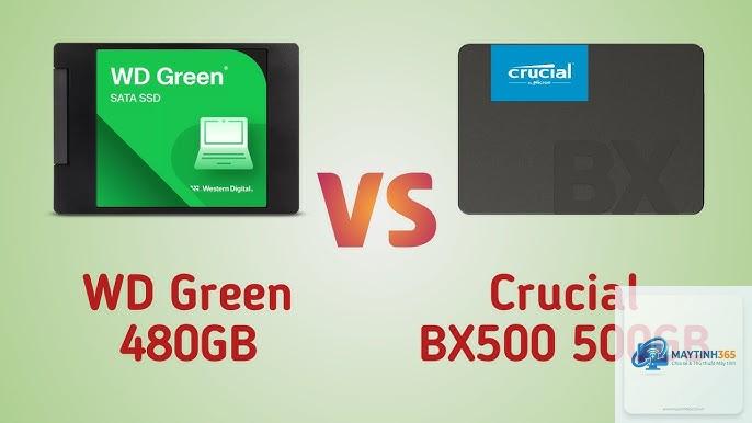 SSD Crucial vs WD - Hình 2