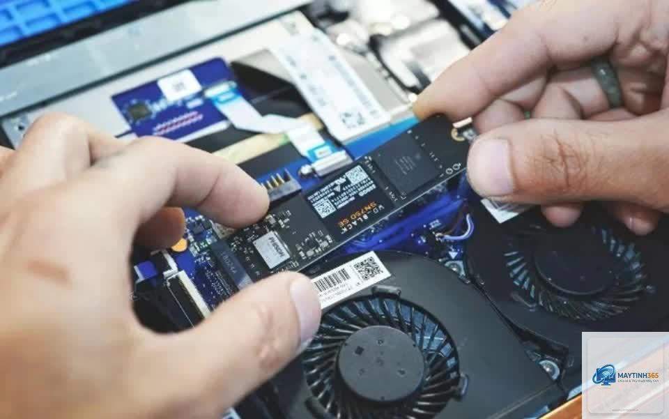 SSD DRAM hay HMB - Hình 1