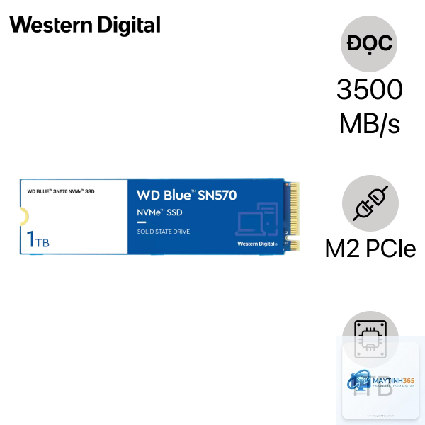 SSD Lexar hay WD - Hình 2