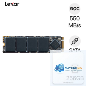 SSD Lexar hay WD