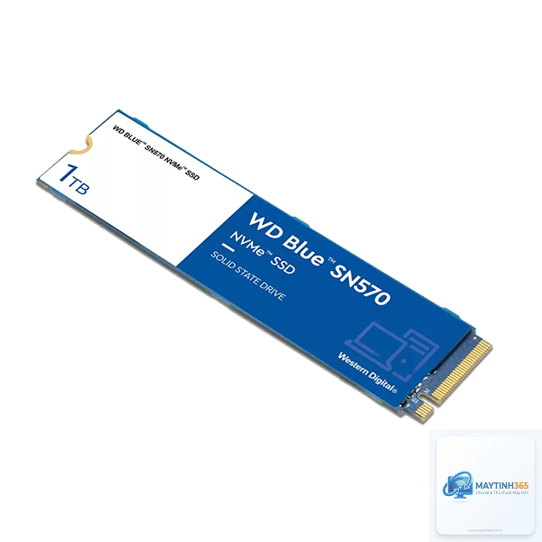 SSD Lexar hay WD - Hình 5