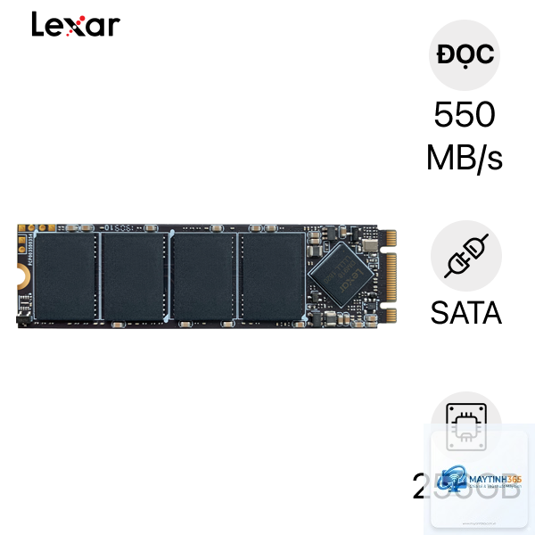 SSD Lexar hay WD - Hình 1