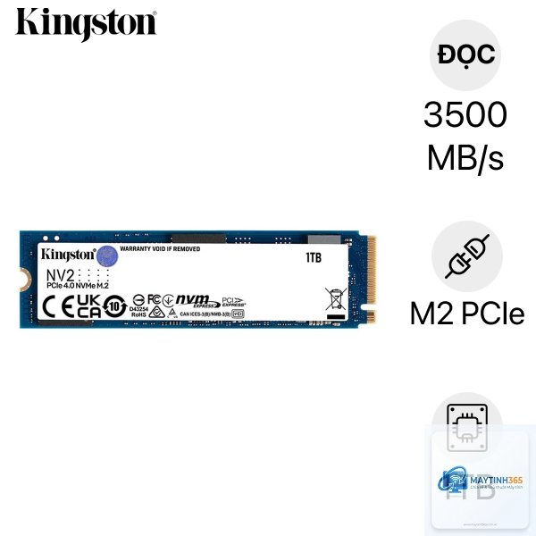 SSD Lexar vs Kingston - Hình 4