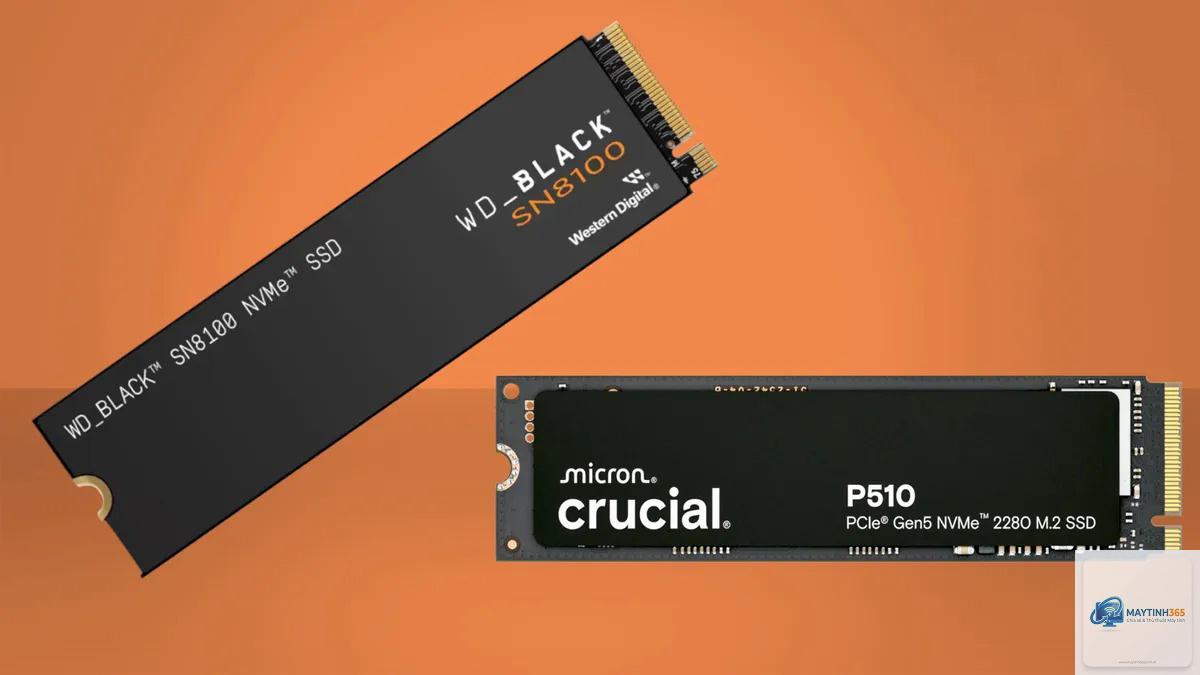 SSD PCIe 5.0 có đáng mua không - Hình 1