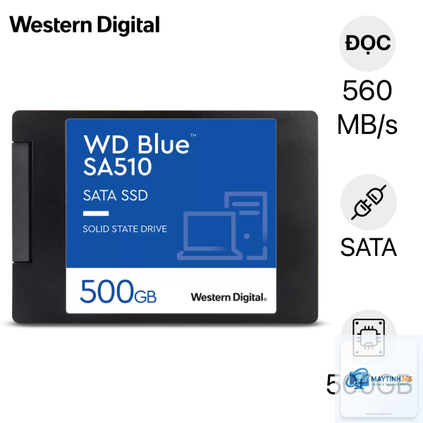 SSD Samsung hay WD - Hình 2