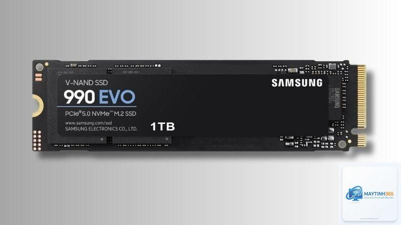 SSD Samsung hay WD - Hình 3
